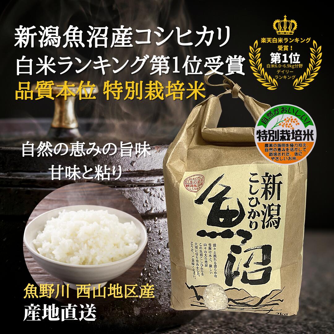 くらしを楽しむアイテム 塩沢産コシヒカリ 令和5年度産】 最新入荷